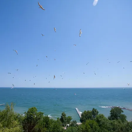 Hotel Bisser - Free Parking - Free Pool Access Balchik