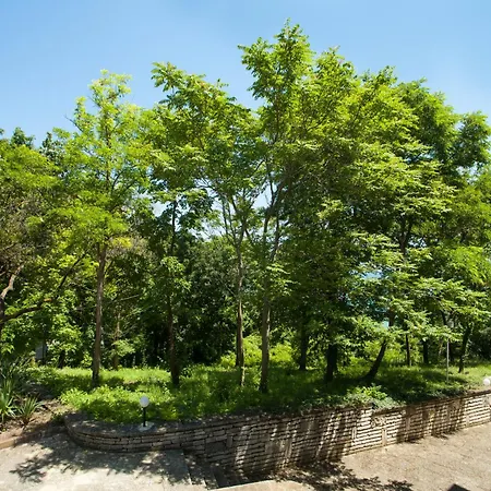 Szálloda Bisser - Free Parking - Free Pool Access